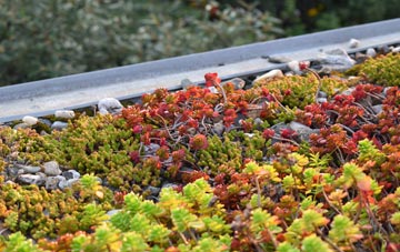 the cost of Marden Beech green roof installation