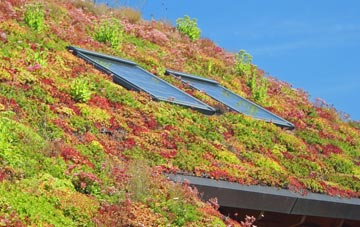 Marden Beech living roof systems