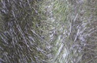 Marden Beech fibreglass roof work